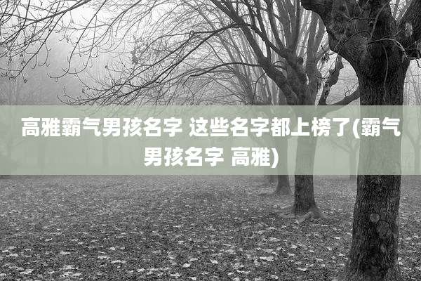 高雅霸气男孩名字 这些名字都上榜了(霸气男孩名字 高雅)