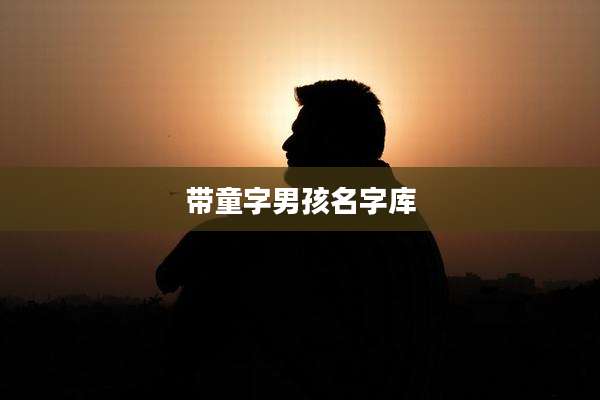 带童字男孩名字库
