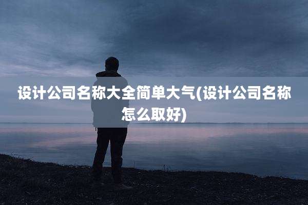 设计公司名称大全简单大气(设计公司名称怎么取好)