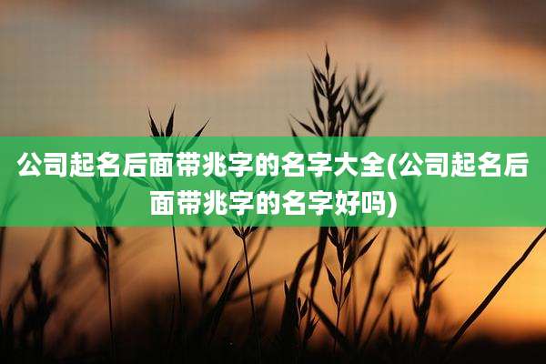 公司起名后面带兆字的名字大全(公司起名后面带兆字的名字好吗)