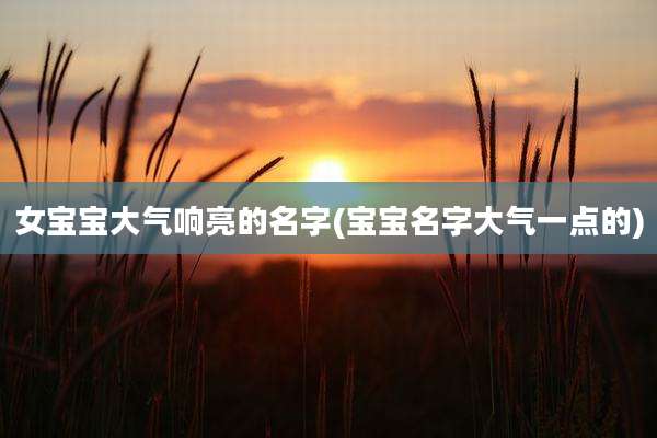 女宝宝大气响亮的名字(宝宝名字大气一点的)