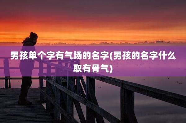 男孩单个字有气场的名字(男孩的名字什么取有骨气)