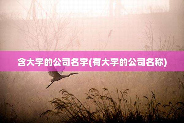 含大字的公司名字(有大字的公司名称)