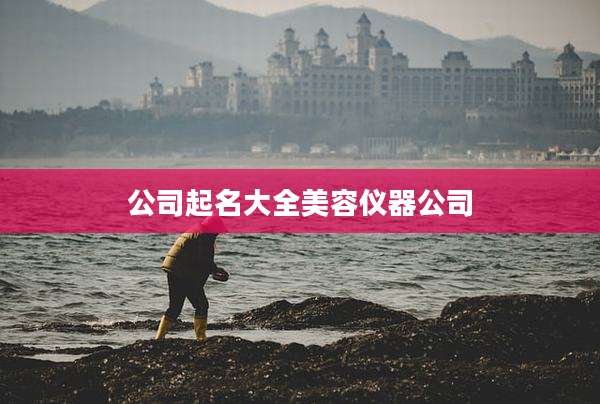 公司起名大全美容仪器公司