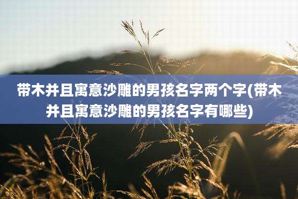 带木并且寓意沙雕的男孩名字两个字(带木并且寓意沙雕的男孩名字有哪些)