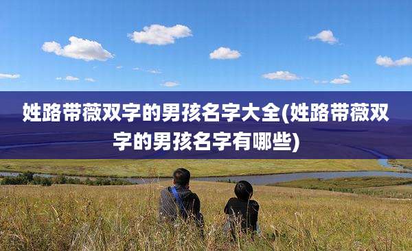 姓路带薇双字的男孩名字大全(姓路带薇双字的男孩名字有哪些)