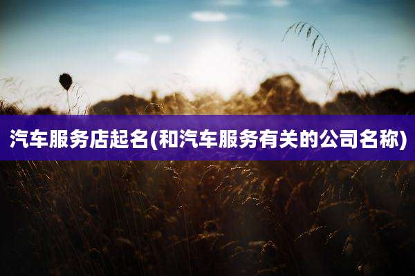 汽车服务店起名(和汽车服务有关的公司名称)