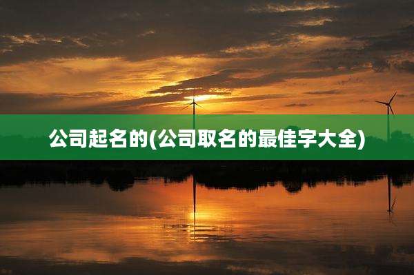 公司起名的(公司取名的最佳字大全)