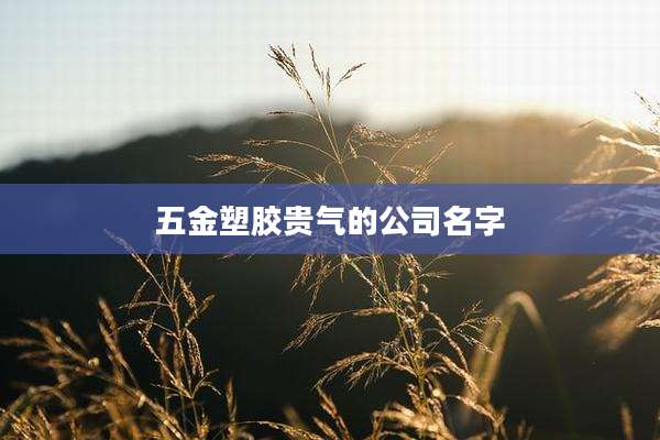 五金塑胶贵气的公司名字