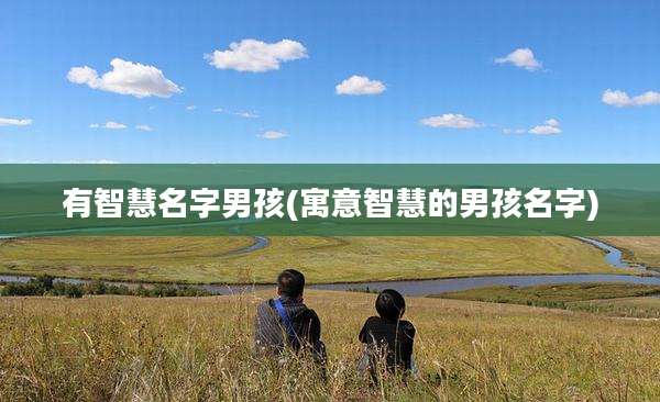 有智慧名字男孩(寓意智慧的男孩名字)
