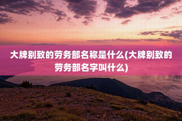 大牌别致的劳务部名称是什么(大牌别致的劳务部名字叫什么)