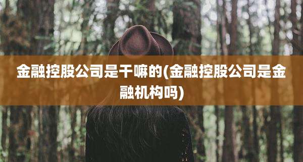 金融控股公司是干嘛的(金融控股公司是金融机构吗)