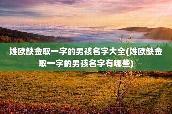 姓欧缺金取一字的男孩名字大全(姓欧缺金取一字的男孩名字有哪些)