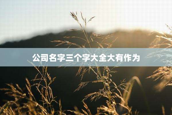 公司名字三个字大全大有作为
