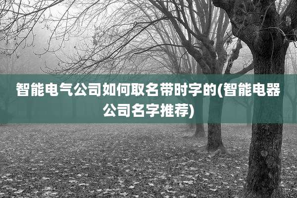 智能电气公司如何取名带时字的(智能电器公司名字推荐)