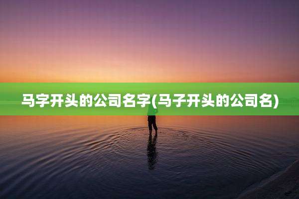 马字开头的公司名字(马子开头的公司名)