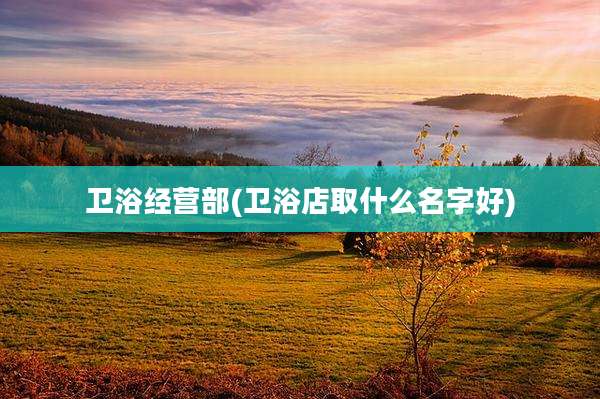 卫浴经营部(卫浴店取什么名字好)