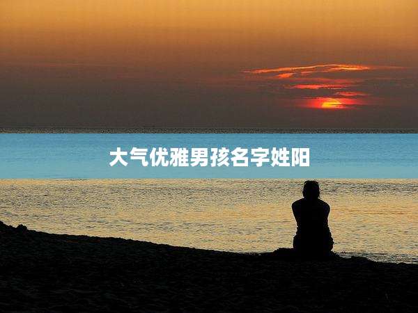大气优雅男孩名字姓阳