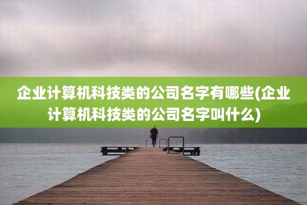 企业计算机科技类的公司名字有哪些(企业计算机科技类的公司名字叫什么)