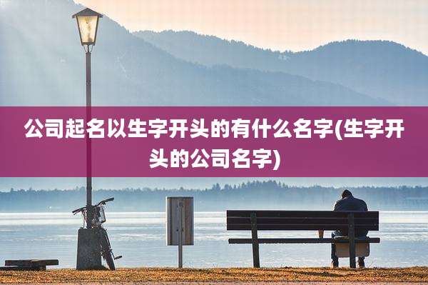 公司起名以生字开头的有什么名字(生字开头的公司名字)