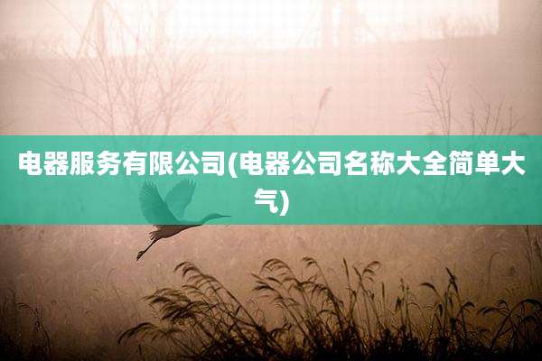 电器服务有限公司(电器公司名称大全简单大气)