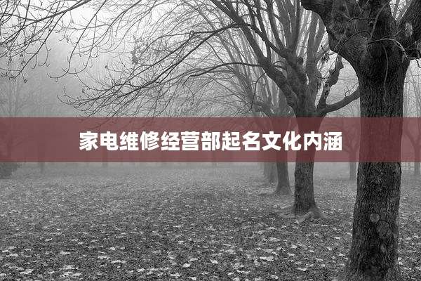家电维修经营部起名文化内涵