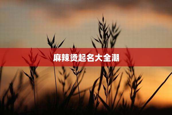 麻辣烫起名大全潮