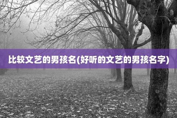 比较文艺的男孩名(好听的文艺的男孩名字)
