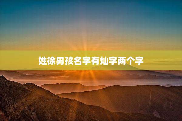 姓徐男孩名字有灿字两个字