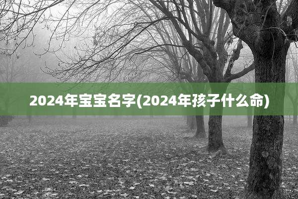 2024年宝宝名字(2024年孩子什么命)