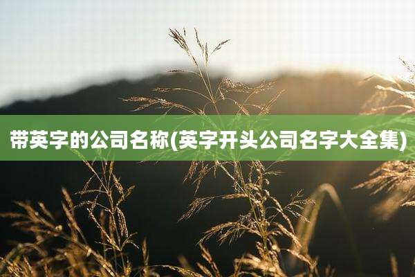 带英字的公司名称(英字开头公司名字大全集)