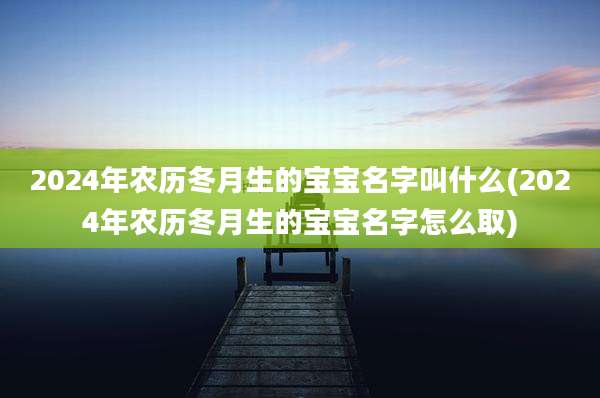 2024年农历冬月生的宝宝名字叫什么(2024年农历冬月生的宝宝名字怎么取)