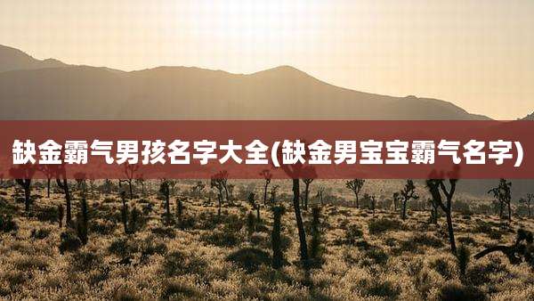 缺金霸气男孩名字大全(缺金男宝宝霸气名字)