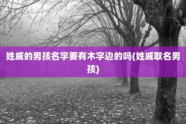 姓戚的男孩名字要有木字边的吗(姓戚取名男孩)