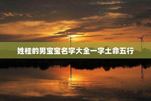 姓桂的男宝宝名字大全一字土命五行