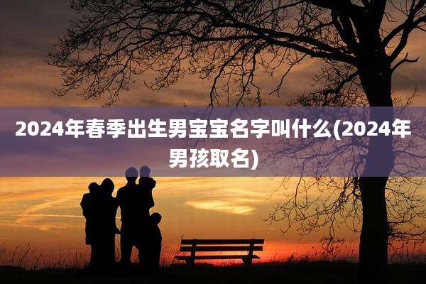 2024年春季出生男宝宝名字叫什么(2024年男孩取名)