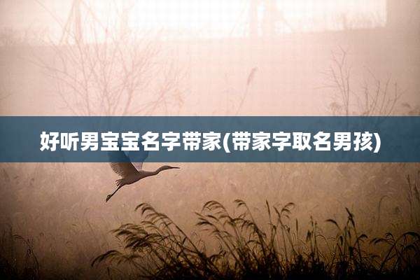 好听男宝宝名字带家(带家字取名男孩)