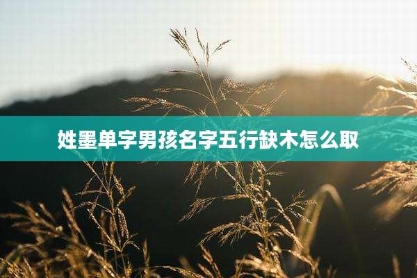 姓墨单字男孩名字五行缺木怎么取