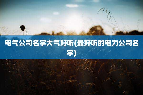 电气公司名字大气好听(最好听的电力公司名字)