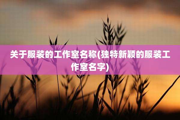 关于服装的工作室名称(独特新颖的服装工作室名字)