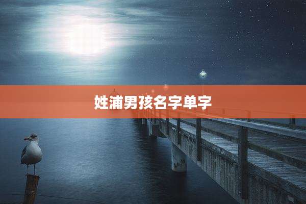 姓浦男孩名字单字