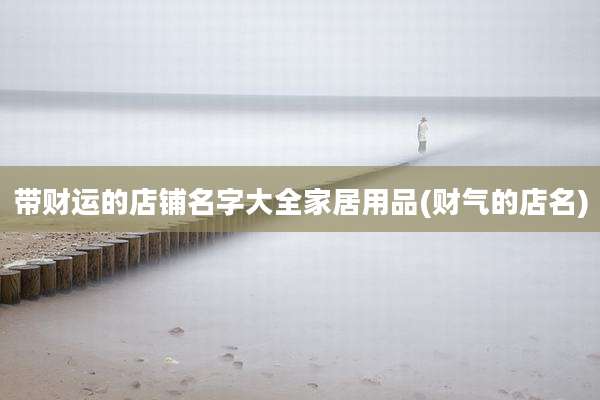 带财运的店铺名字大全家居用品(财气的店名)