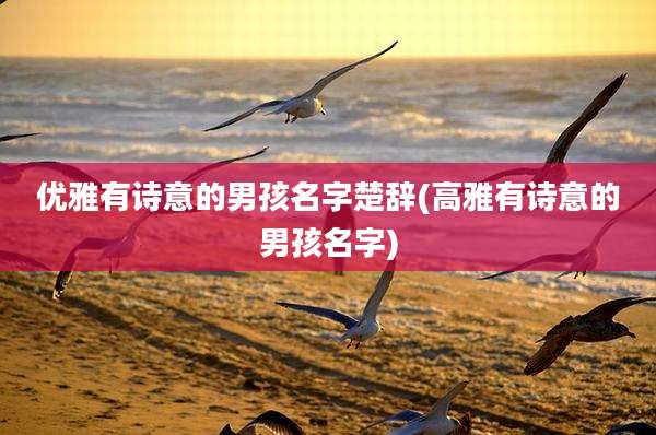 优雅有诗意的男孩名字楚辞(高雅有诗意的男孩名字)