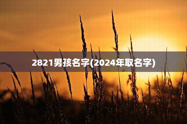 2821男孩名字(2024年取名字)