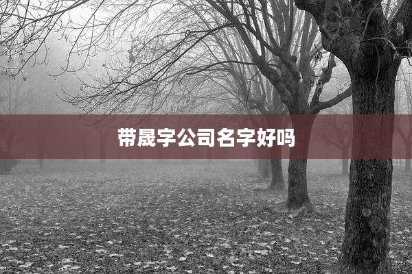 带晟字公司名字好吗