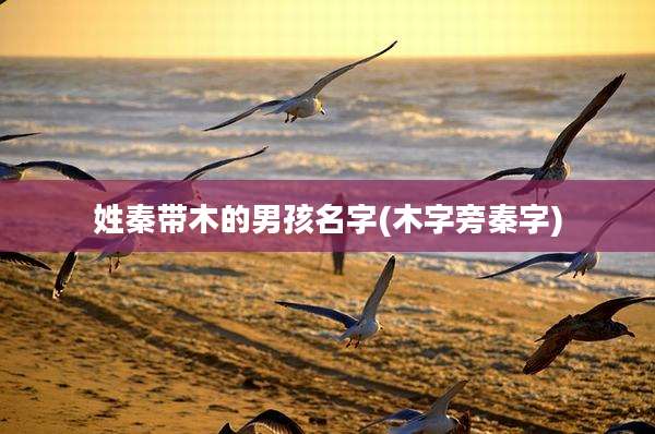 姓秦带木的男孩名字(木字旁秦字)