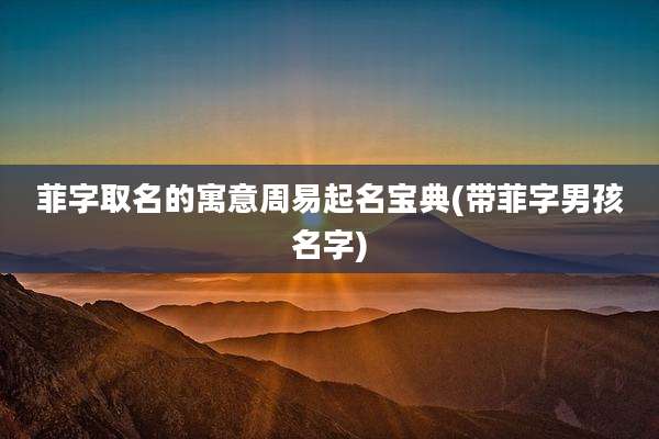 菲字取名的寓意周易起名宝典(带菲字男孩名字)