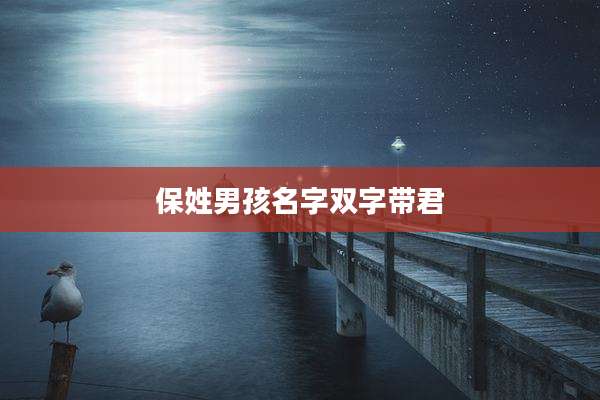 保姓男孩名字双字带君