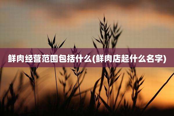 鲜肉经营范围包括什么(鲜肉店起什么名字)