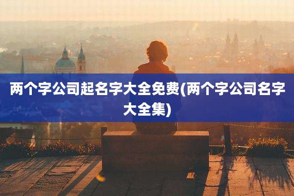 两个字公司起名字大全免费(两个字公司名字大全集)